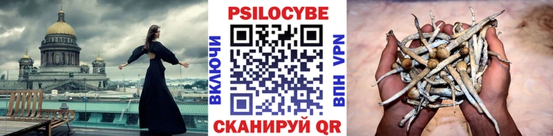 Псилоцибиновые грибы мухоморы Светлогорск